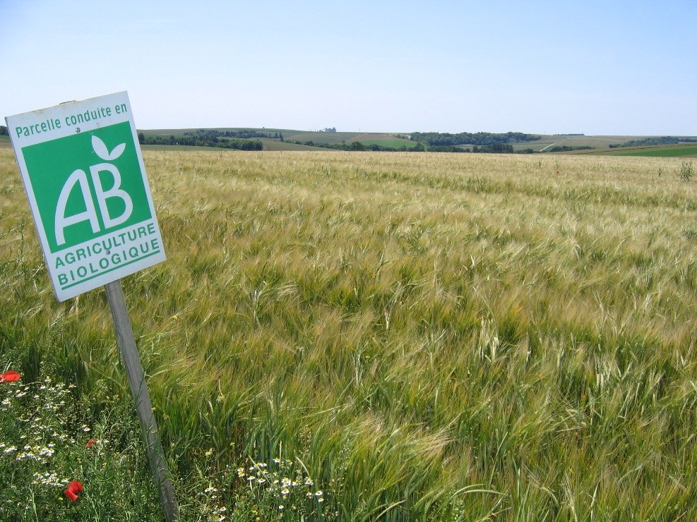 Découvrez Agribiolien.fr, le seul site de petites annonces 100% bio
