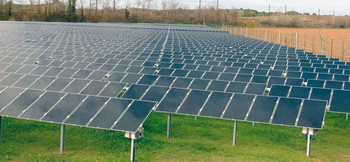 Malgré un prix de rachat de l’électricité plus bas, les panneaux photovoltaïques au sol pourraient prendre le pas sur leurs homologues de toiture.